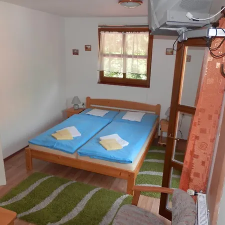 Penzión pre hostí Starek 3*